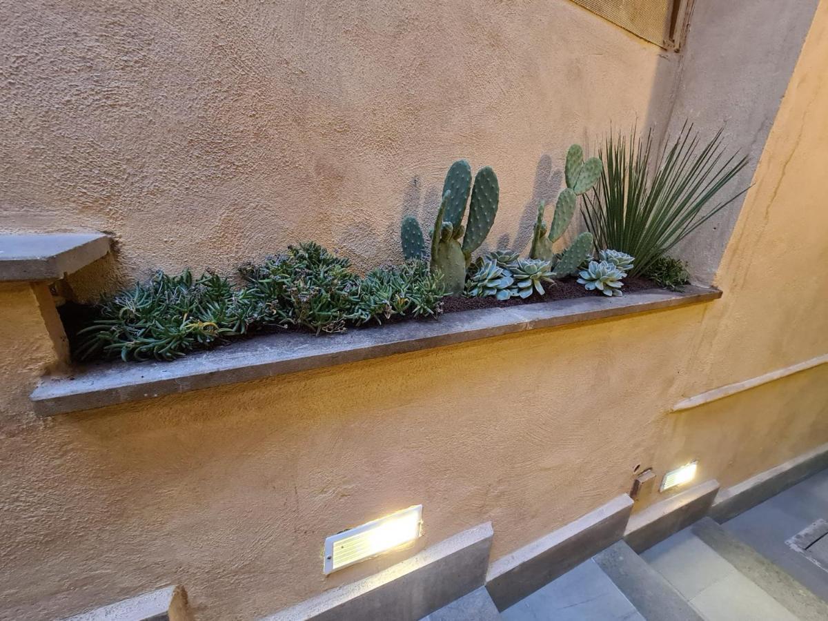 Apartamento Vicolo Navona